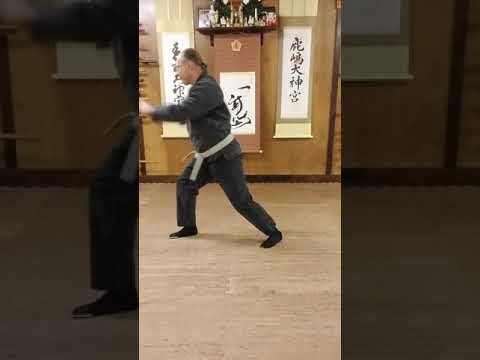 AZBujinkan - 04 - Gogyo Ura Waza 2