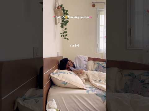 Series-2🌼New home living🏡Episode-23🥰Callie’s Morning Routine🎀🌷#viral #catlife #catdad #trend