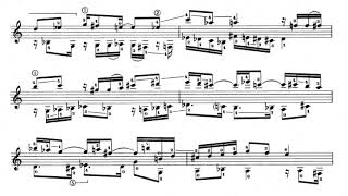 Henk Badings - Canon for Guitar (Score video)