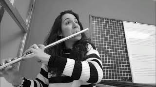 Noche estrellada Gonzalo hermida flute cover