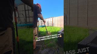Download lagu 🌿 HAS EVERYONE’S GRASS JUST GONE ABSOLUTELY MENTAL?! 🤣 #dog #pooperscooper #community #dogs #fyp mp3