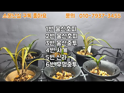 유튜브 썸네일