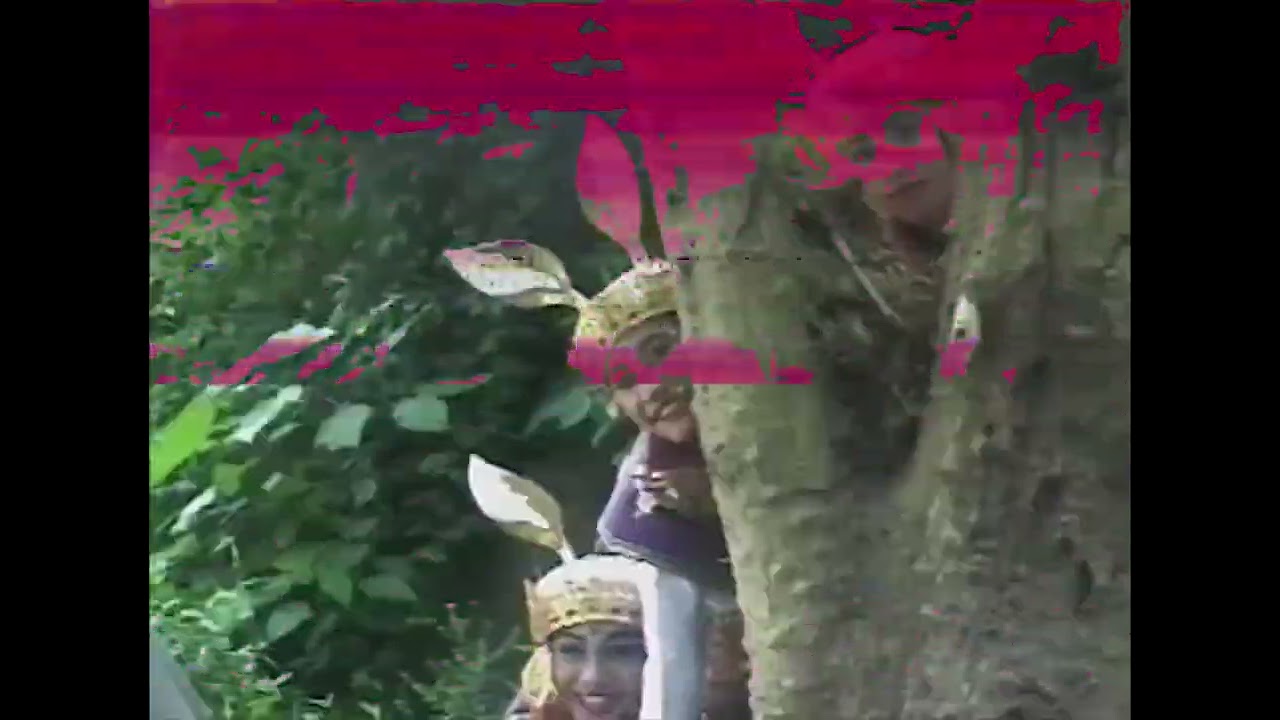 VECTOR GRAPHICS - JUNGLE