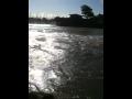 Tsunami Berkeley Marina 2011