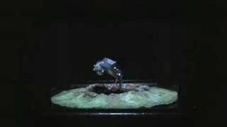 Sufjan Stevens "Prairie Fire That Wanders About" 'Death of a Robot' philip eddolls