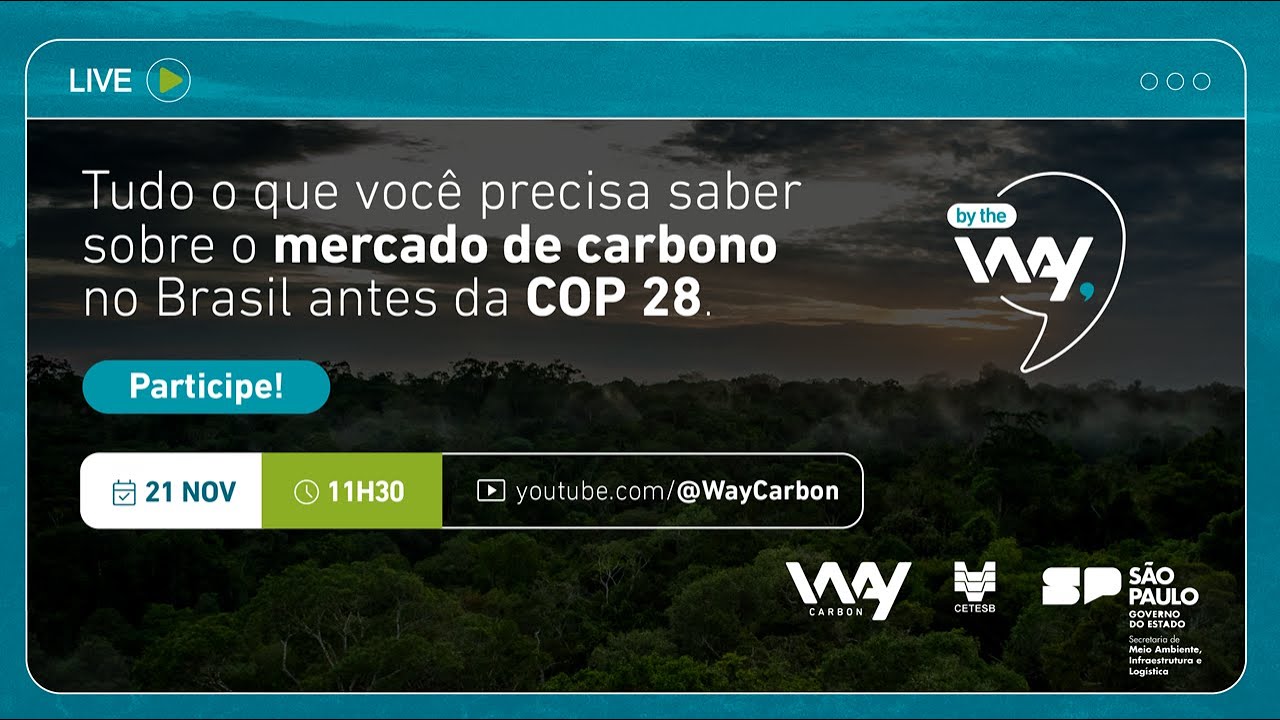 Tudo o que você precisa saber sobre o mercado de carbono no Brasil antes da COP 28