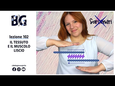 TISSUE and SMOOTH MUSCLE