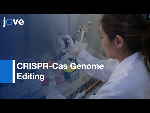 CRISPR-Cas Genome Editing in Mammalian Cell Lines | Protocol Preview