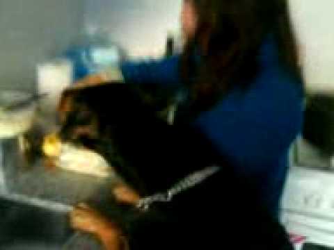 la muerte de zulma lobato el perro que come