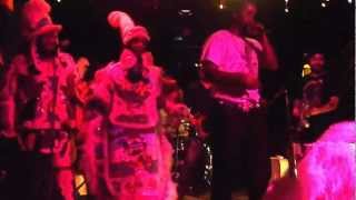 We're Gonna Party--The Wild Magnolias