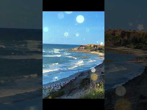 Pipa em Foco | Praia da Pipa – RN #praiasdonordeste #brasil #travel