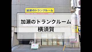YouTube動画
