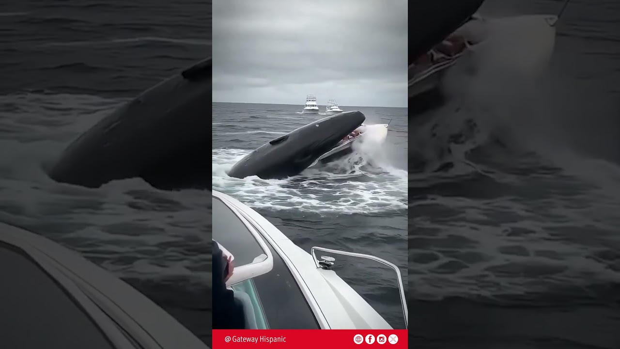 IMPACTANTE: Inteligencia artificial - Una ballena devora un Barco