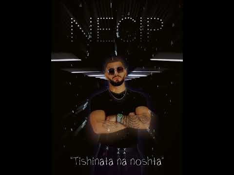 Necip - " Tishinata na noshta " / " Тишината на ноща " (Official Music ), 2024