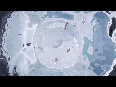 MEIZU 16 - Pursuit from Passion