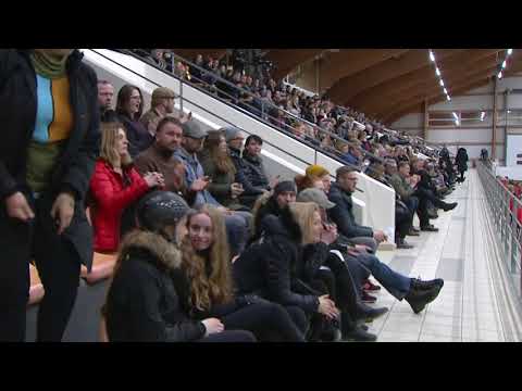 Hestar Árni Björn 1 sæti