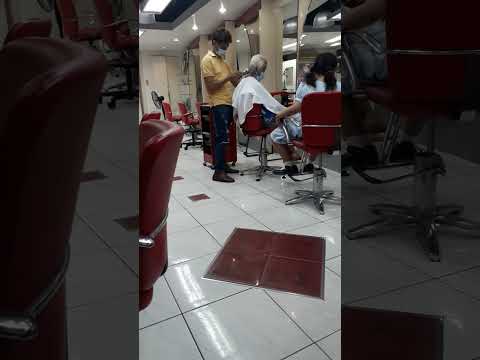 hair cut | davids salon
