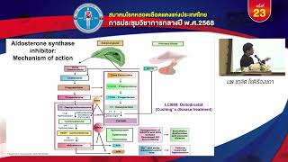 3) Aldosterone Synthase Inhabitor : New Pathway to Control HT [Lorundrostat] นพ.ชวลิต โชติเรืองนภา