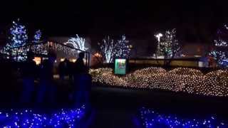 preview picture of video '夜の　なばなの里　（桑名市） Night Nabana no sato ,Winter Illumination (kuwana city)'
