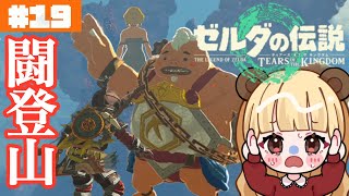 ゼルダを追え！デスマウンテン山頂でまさかの事態に……🌋#19【ゼルダの伝説 ティアーズ オブ ザ キングダム】