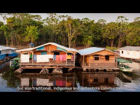 Áreas protegidas no Brasil estão sob ameaça