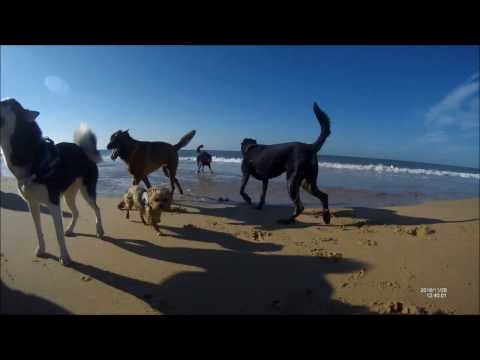 WB ~ Let's go to the beach