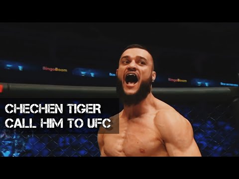 CALL HIM TO UFC ▶ CHECHEN TIGER - BESLAN USHUKOV HIGHLIGHTS [HD] / БЕСЛАН УШУКОВ