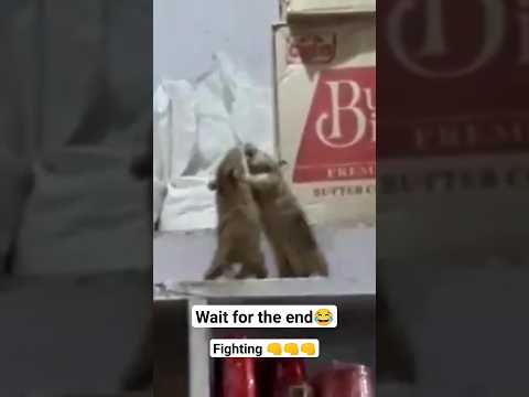 playing rat #viral #minecraft rats mod