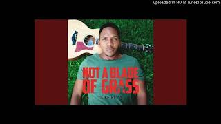 Not a blade of grass by Juke Ross