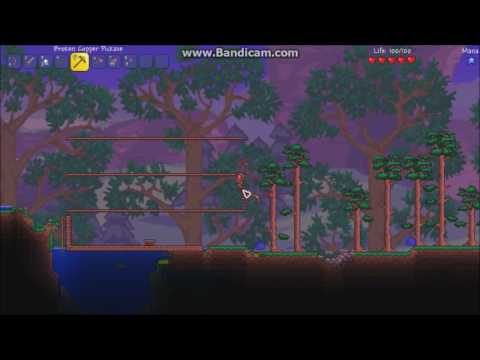 Terraria: Eye Of Cthulhu First Night