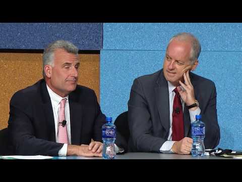 Globalization of Capital: The Short- and Long-Term View