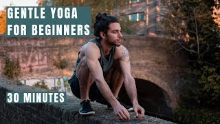 Yoga For Beginners | Gentle Vinyasa 30 Minutes