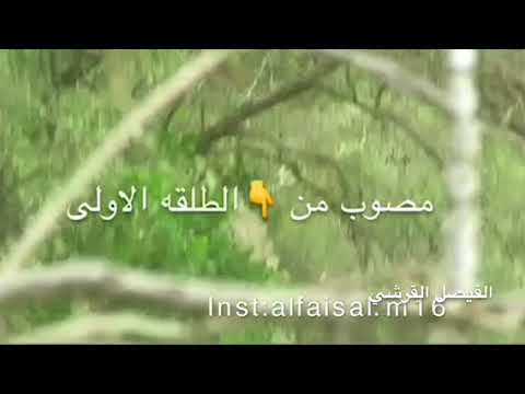 مقناص وعول الفيصل القرشي @ ناصر القرشي