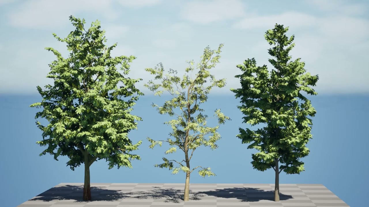 UK Alder British Trees 3D Model