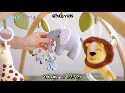 Blissful Diary Baby Play Gym Review: Is It the Ultimate Tummy Time & Development Mat?