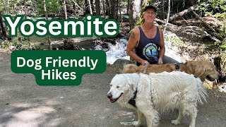 Our Favorite Yosemite Dog-Friendly Hikes