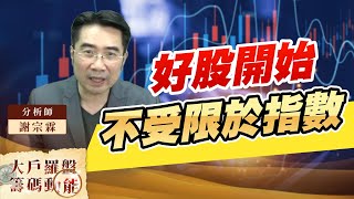 好股開始不受限於指數 (圖)