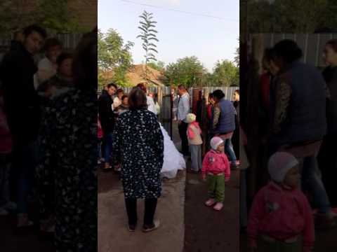 Nunta lu nicoleta la brosteni