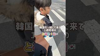 【韓国引っ越し】１週間目お出かけ１日🇰🇷 #国際カップル #海外在住ママ
