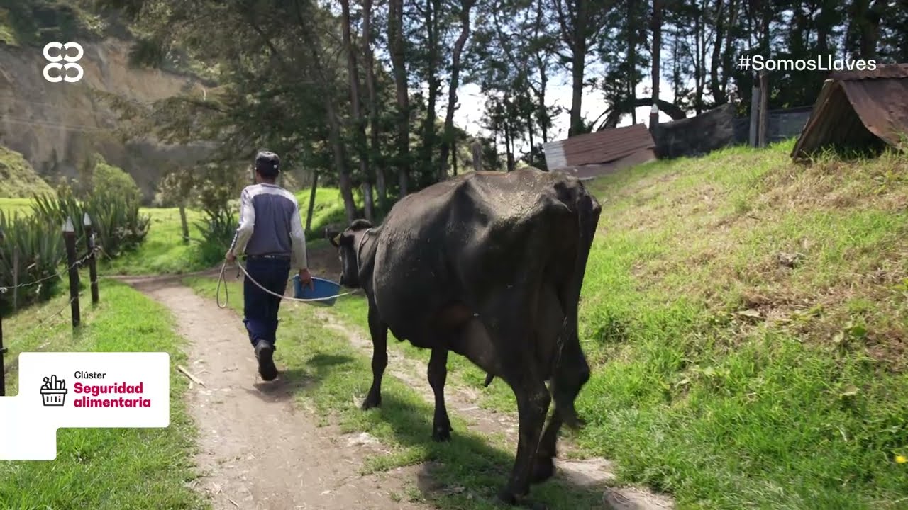 Conoce los beneficios del Clúster de Seguridad Alimentaria