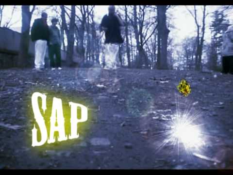 Sap - Angels around ! Snippet ..