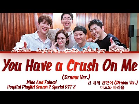 [Studio Ver] Mido And Falasol (미도와 파라솔) - You Have a Crush On Me (넌 내게 반했어) 슬기로운 의사생활 시즌2 Lyrics/가사