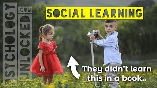Social Learning Theory in 4 Minutes 👨‍👧‍👦 How people learn from others 👨‍👧‍👦 Psychology