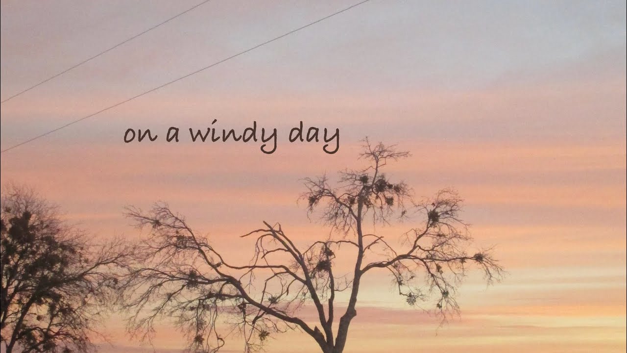 on a windy day