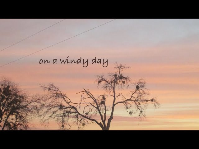 on a windy day