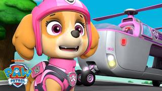 Skye Uses Her Ultimate Rescue Copter to Save the Bridge! | PAW Patrol | Skye and Friends