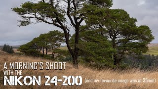 Nikon 24 - 200mm f/4 - 6.3 A morning's Shoot.