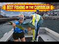 Life Of A Caribbean Fisherman On One Of The World S Best Fishing Islands