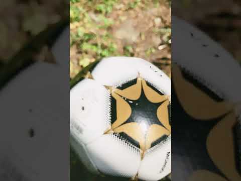 Hur högt kom ent bollen 😱🙀😦