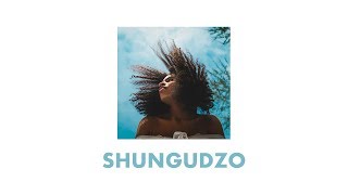 Shungudzo - Paper